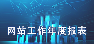 政府網(wǎng)站工作年度報表